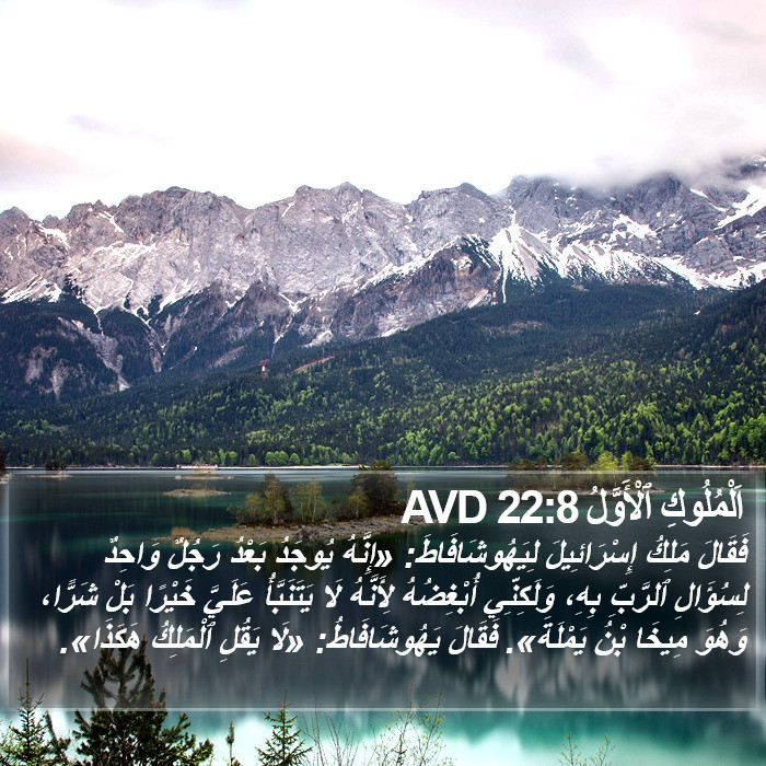 اَلْمُلُوكِ ٱلْأَوَّلُ 22:8 AVD Bible Study