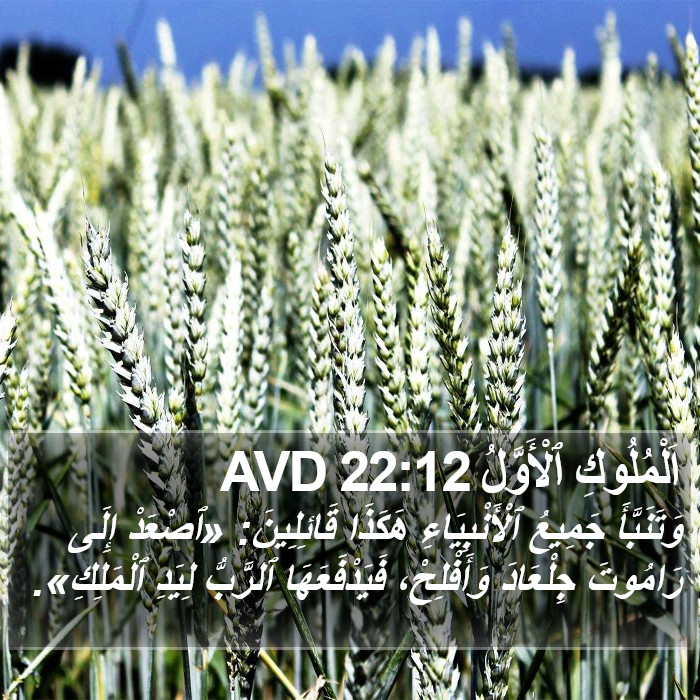 اَلْمُلُوكِ ٱلْأَوَّلُ 22:12 AVD Bible Study