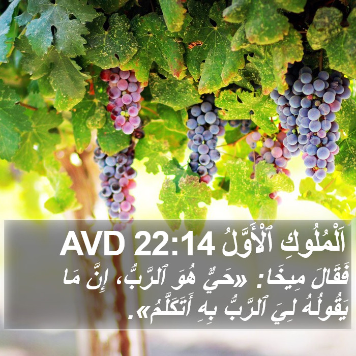 اَلْمُلُوكِ ٱلْأَوَّلُ 22:14 AVD Bible Study