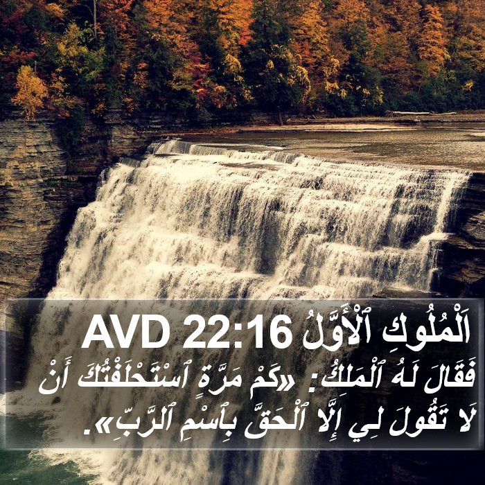 اَلْمُلُوكِ ٱلْأَوَّلُ 22:16 AVD Bible Study