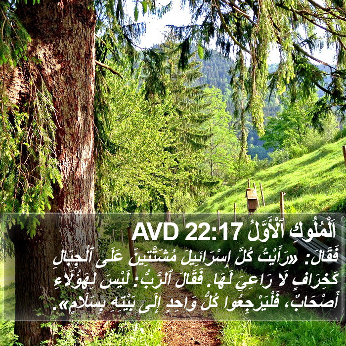 اَلْمُلُوكِ ٱلْأَوَّلُ 22:17 AVD Bible Study