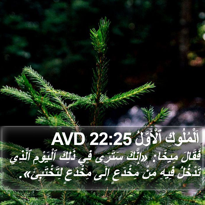 اَلْمُلُوكِ ٱلْأَوَّلُ 22:25 AVD Bible Study