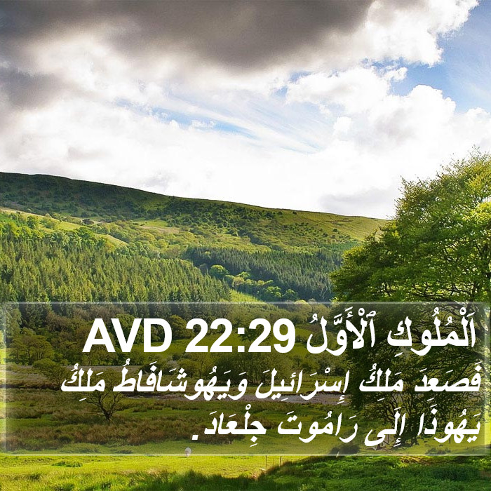 اَلْمُلُوكِ ٱلْأَوَّلُ 22:29 AVD Bible Study