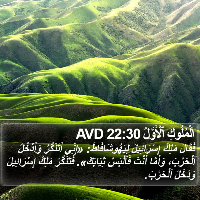 اَلْمُلُوكِ ٱلْأَوَّلُ 22:30 AVD Bible Study