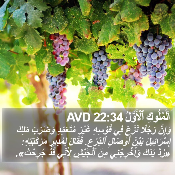 اَلْمُلُوكِ ٱلْأَوَّلُ 22:34 AVD Bible Study