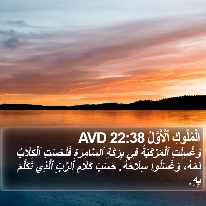 اَلْمُلُوكِ ٱلْأَوَّلُ 22:38 AVD Bible Study