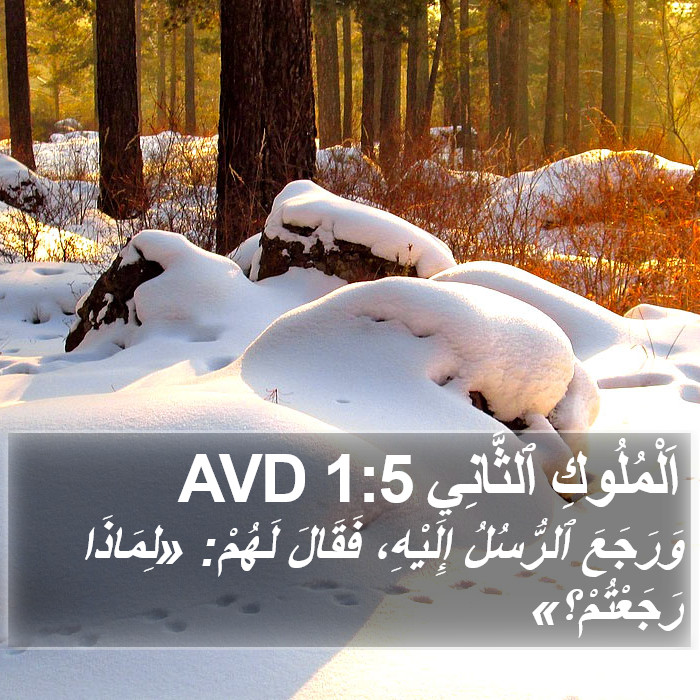 اَلْمُلُوكِ ٱلثَّانِي 1:5 AVD Bible Study