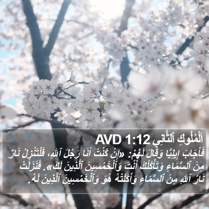 اَلْمُلُوكِ ٱلثَّانِي 1:12 AVD Bible Study