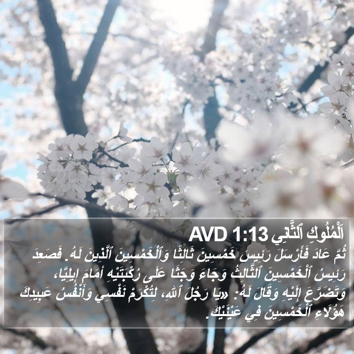 اَلْمُلُوكِ ٱلثَّانِي 1:13 AVD Bible Study