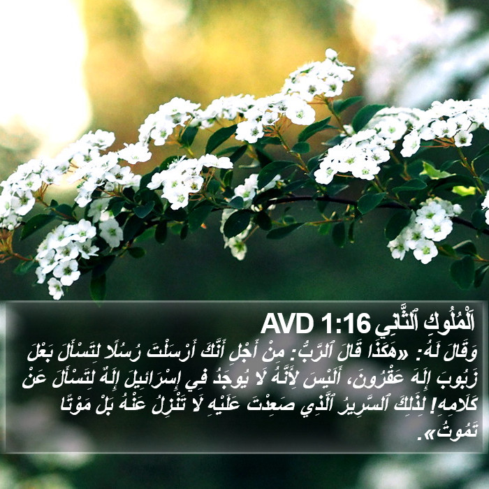 اَلْمُلُوكِ ٱلثَّانِي 1:16 AVD Bible Study