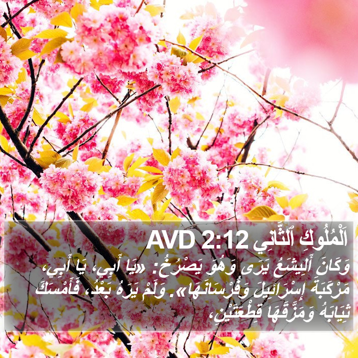 اَلْمُلُوكِ ٱلثَّانِي 2:12 AVD Bible Study