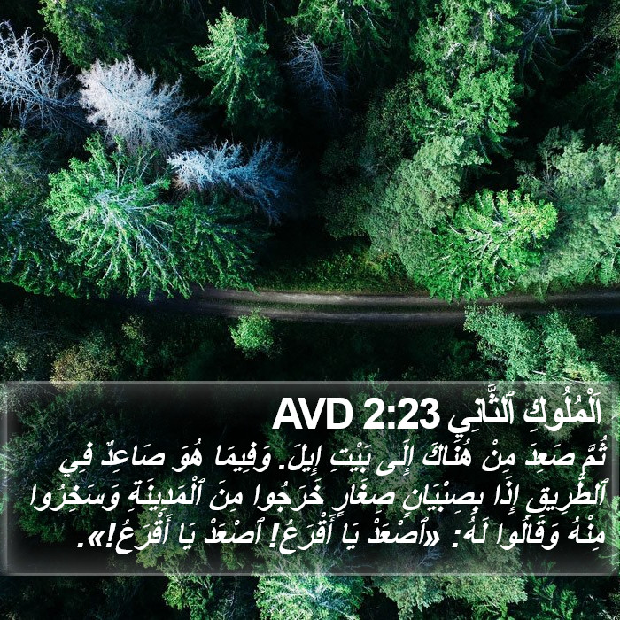 اَلْمُلُوكِ ٱلثَّانِي 2:23 AVD Bible Study