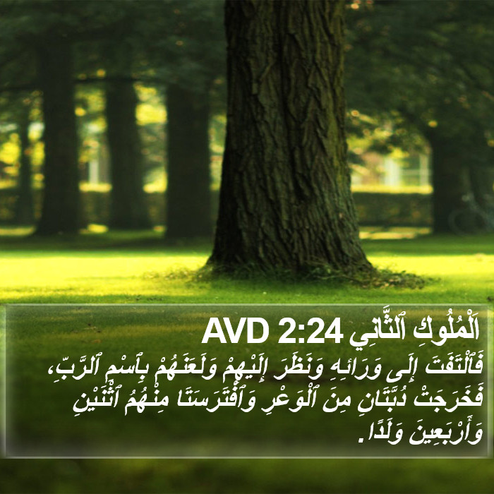 اَلْمُلُوكِ ٱلثَّانِي 2:24 AVD Bible Study