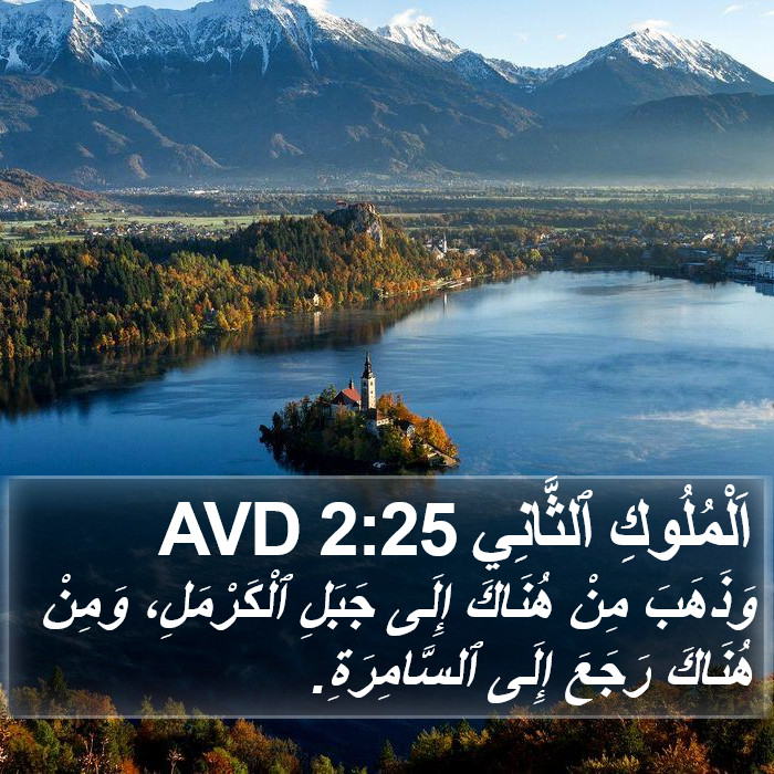 اَلْمُلُوكِ ٱلثَّانِي 2:25 AVD Bible Study