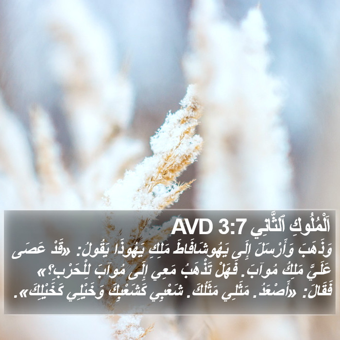 اَلْمُلُوكِ ٱلثَّانِي 3:7 AVD Bible Study