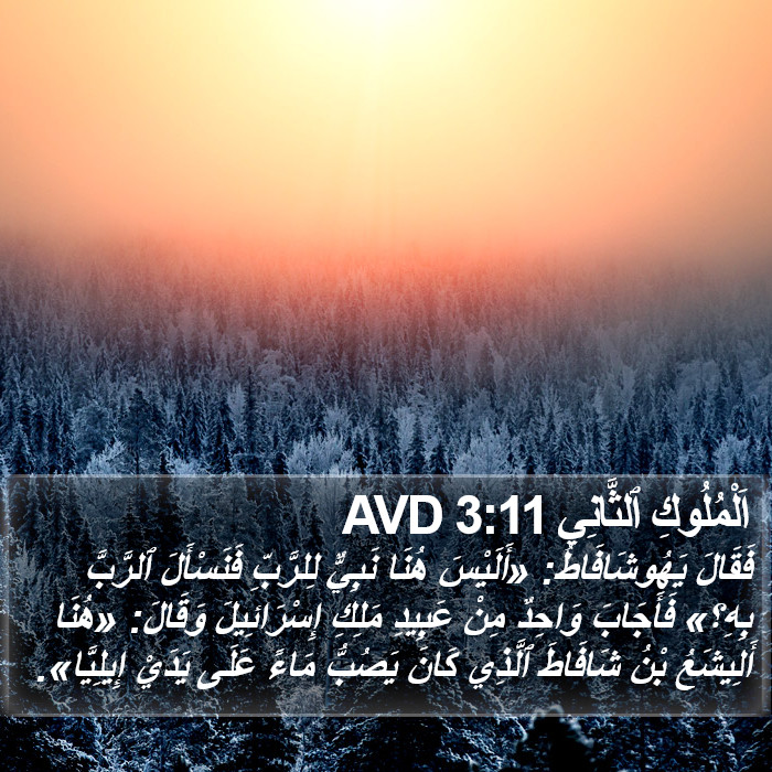 اَلْمُلُوكِ ٱلثَّانِي 3:11 AVD Bible Study