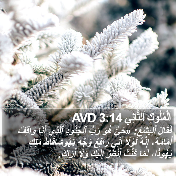 اَلْمُلُوكِ ٱلثَّانِي 3:14 AVD Bible Study