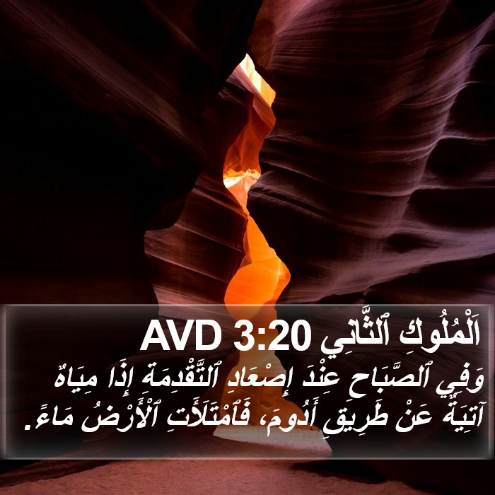 اَلْمُلُوكِ ٱلثَّانِي 3:20 AVD Bible Study