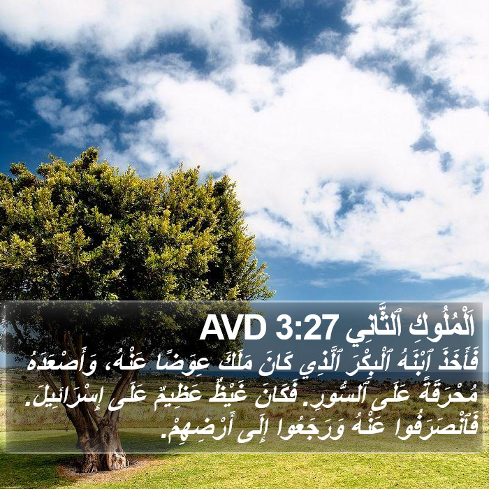 اَلْمُلُوكِ ٱلثَّانِي 3:27 AVD Bible Study