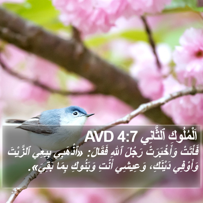 اَلْمُلُوكِ ٱلثَّانِي 4:7 AVD Bible Study