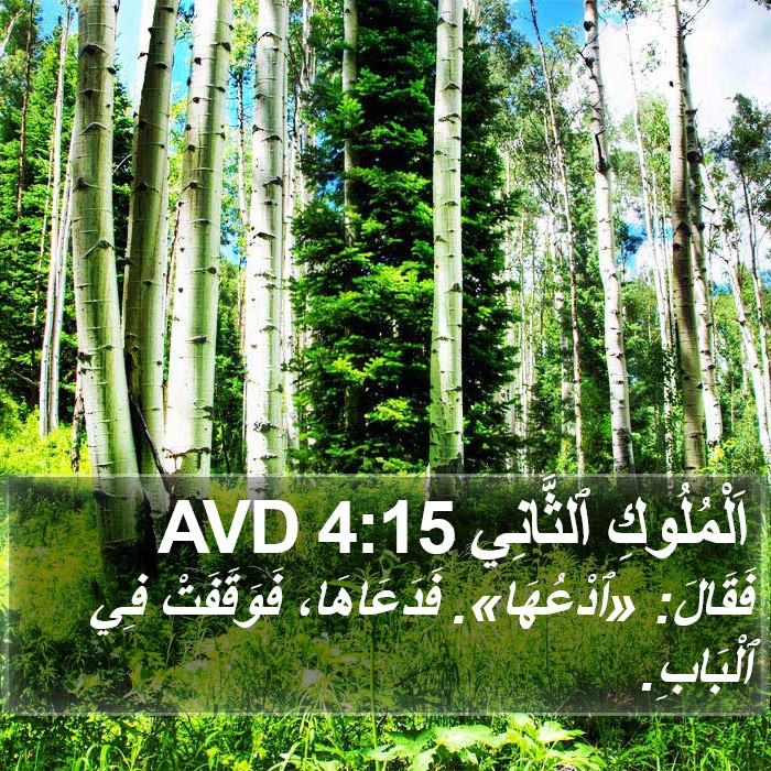 اَلْمُلُوكِ ٱلثَّانِي 4:15 AVD Bible Study