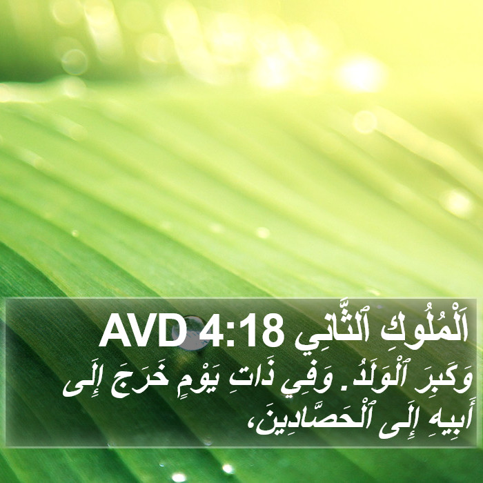 اَلْمُلُوكِ ٱلثَّانِي 4:18 AVD Bible Study