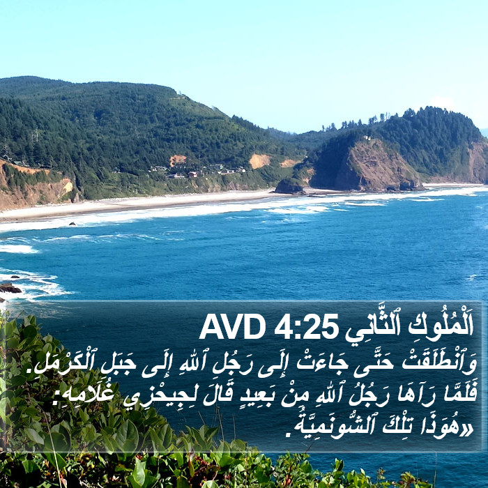 اَلْمُلُوكِ ٱلثَّانِي 4:25 AVD Bible Study