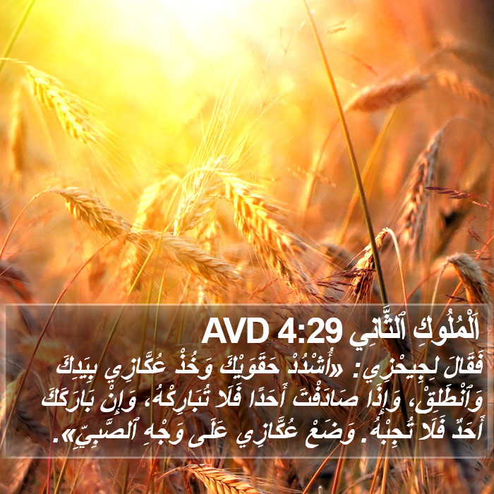 اَلْمُلُوكِ ٱلثَّانِي 4:29 AVD Bible Study