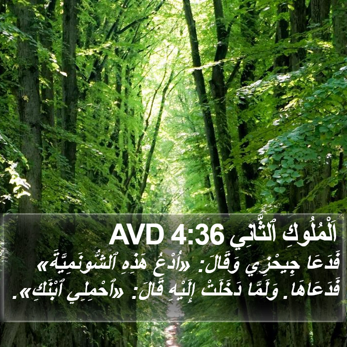 اَلْمُلُوكِ ٱلثَّانِي 4:36 AVD Bible Study