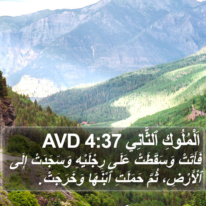 اَلْمُلُوكِ ٱلثَّانِي 4:37 AVD Bible Study