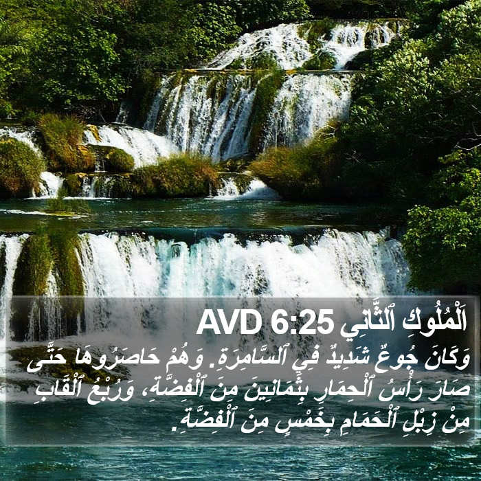 اَلْمُلُوكِ ٱلثَّانِي 6:25 AVD Bible Study