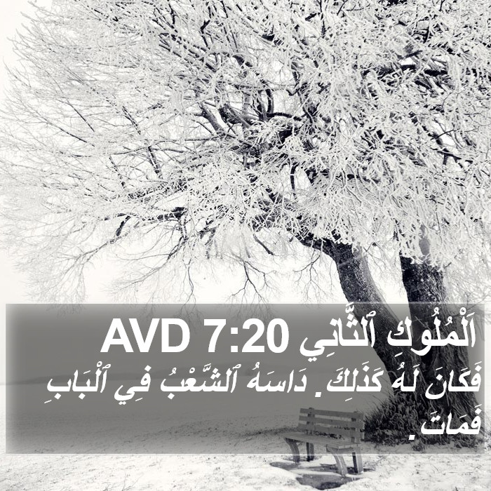 اَلْمُلُوكِ ٱلثَّانِي 7:20 AVD Bible Study