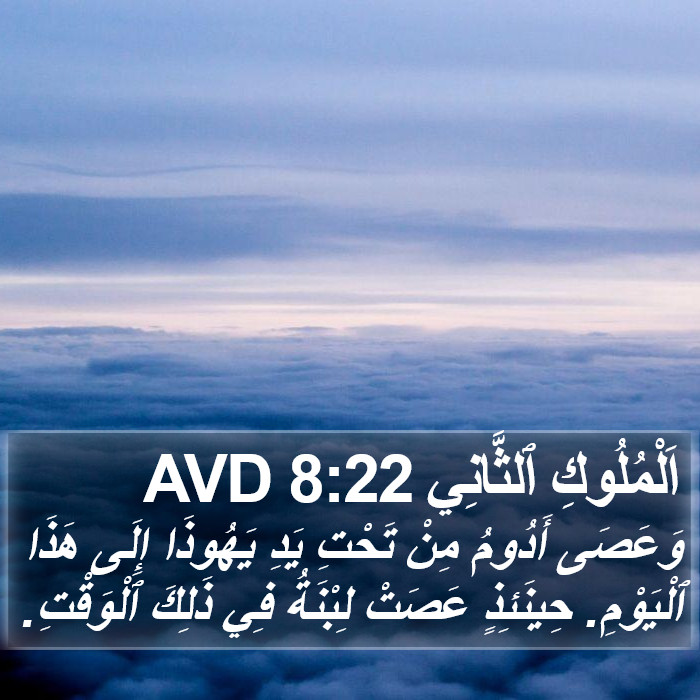 اَلْمُلُوكِ ٱلثَّانِي 8:22 AVD Bible Study