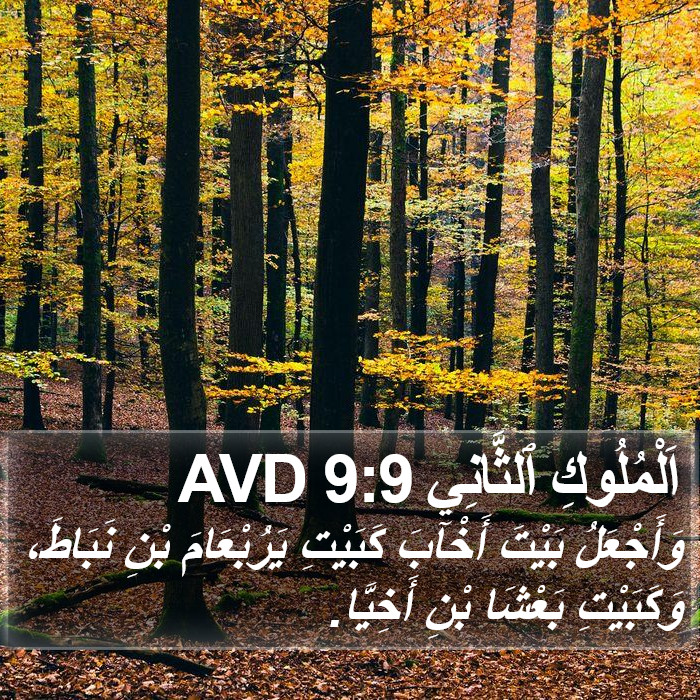 اَلْمُلُوكِ ٱلثَّانِي 9:9 AVD Bible Study