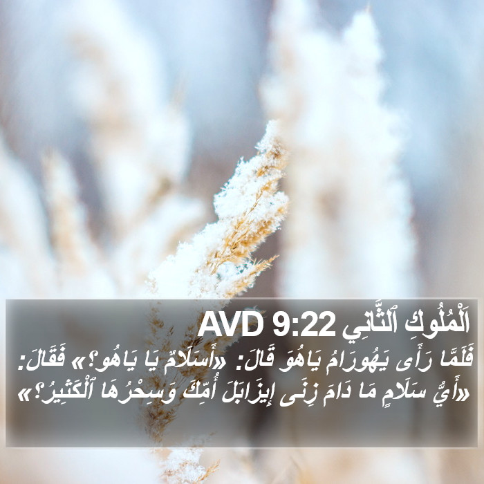 اَلْمُلُوكِ ٱلثَّانِي 9:22 AVD Bible Study