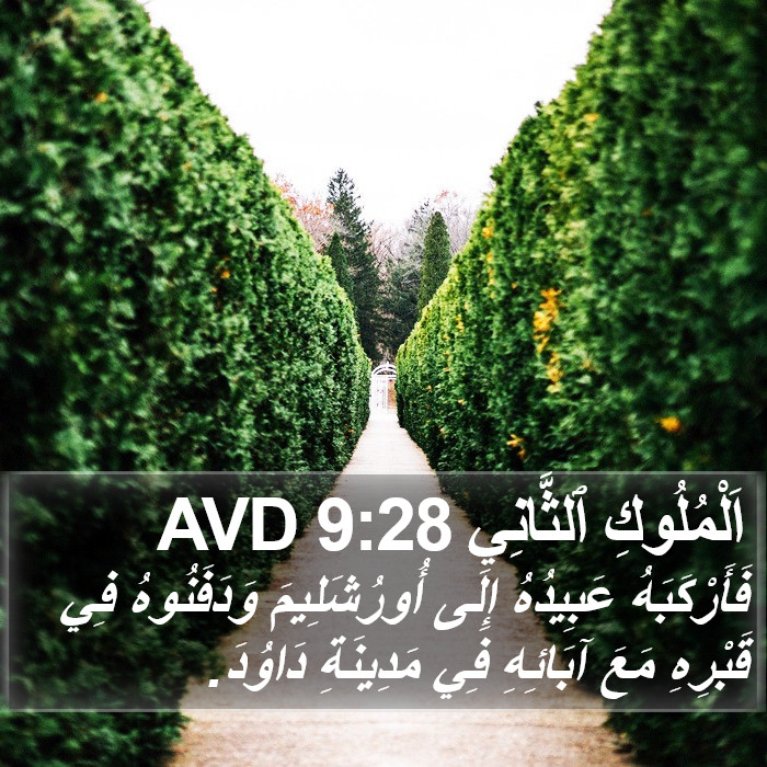 اَلْمُلُوكِ ٱلثَّانِي 9:28 AVD Bible Study