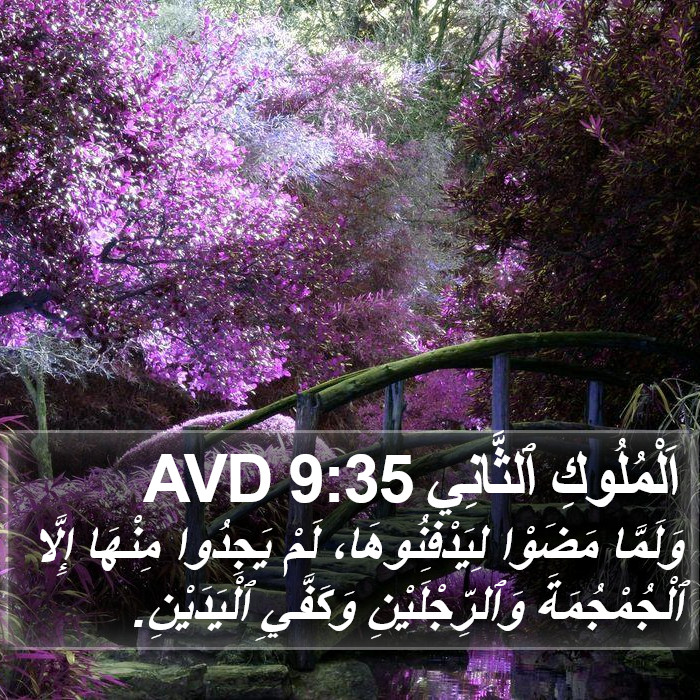 اَلْمُلُوكِ ٱلثَّانِي 9:35 AVD Bible Study