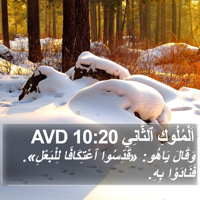 اَلْمُلُوكِ ٱلثَّانِي 10:20 AVD Bible Study