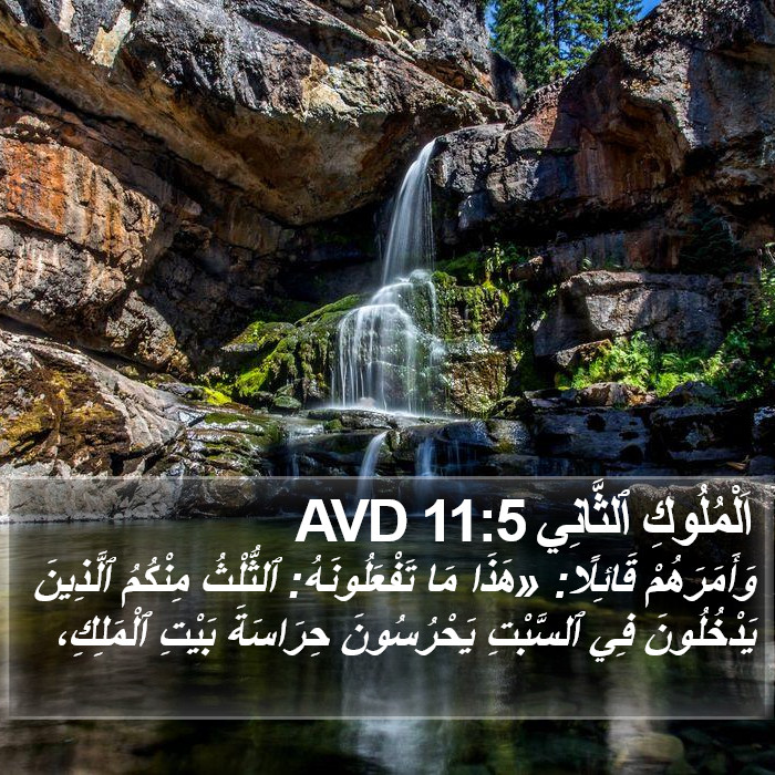 اَلْمُلُوكِ ٱلثَّانِي 11:5 AVD Bible Study