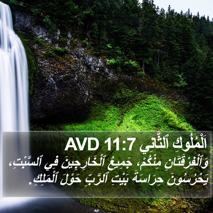 اَلْمُلُوكِ ٱلثَّانِي 11:7 AVD Bible Study