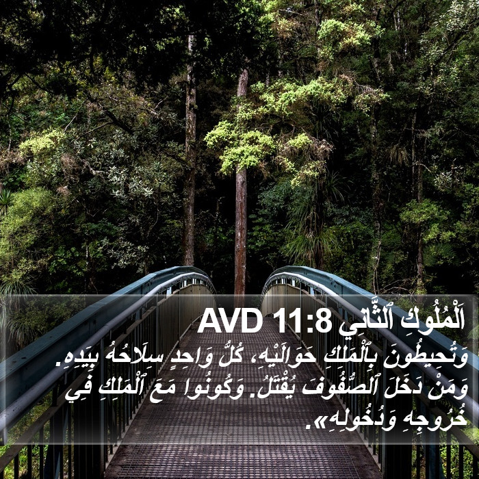 اَلْمُلُوكِ ٱلثَّانِي 11:8 AVD Bible Study