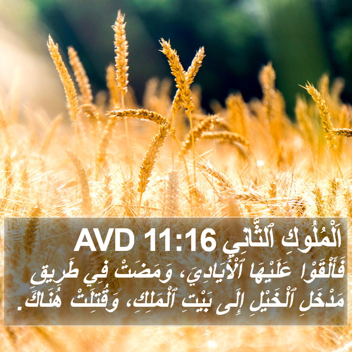 اَلْمُلُوكِ ٱلثَّانِي 11:16 AVD Bible Study