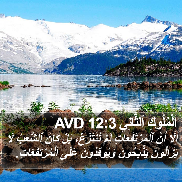 اَلْمُلُوكِ ٱلثَّانِي 12:3 AVD Bible Study