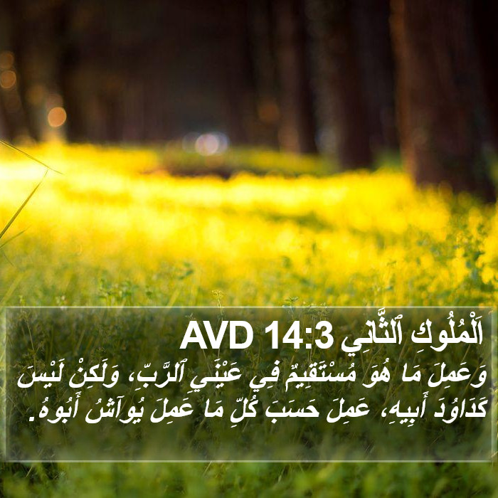 اَلْمُلُوكِ ٱلثَّانِي 14:3 AVD Bible Study