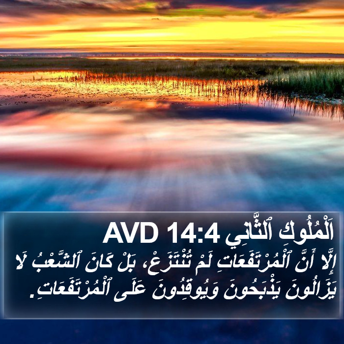 اَلْمُلُوكِ ٱلثَّانِي 14:4 AVD Bible Study