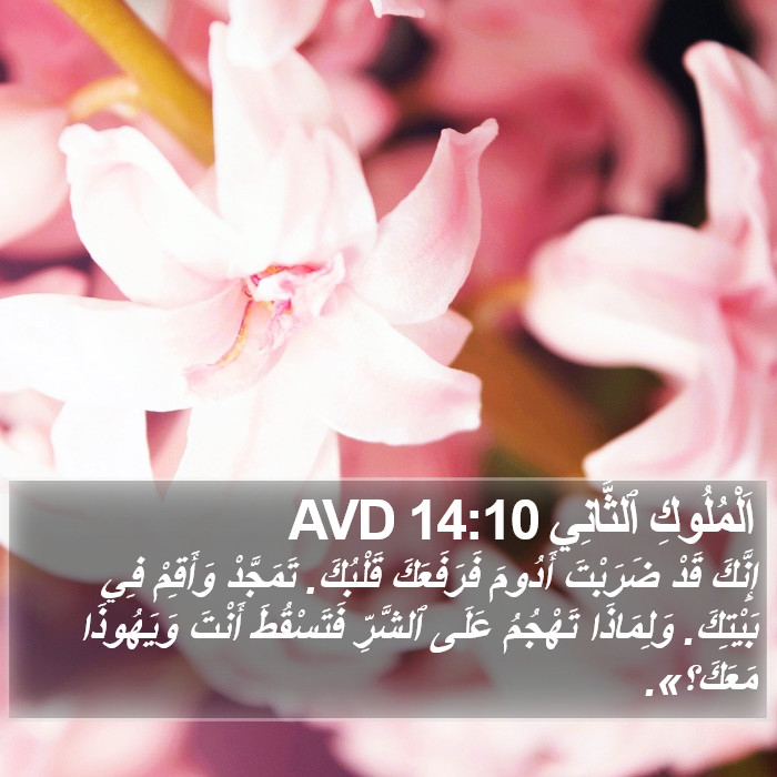 اَلْمُلُوكِ ٱلثَّانِي 14:10 AVD Bible Study