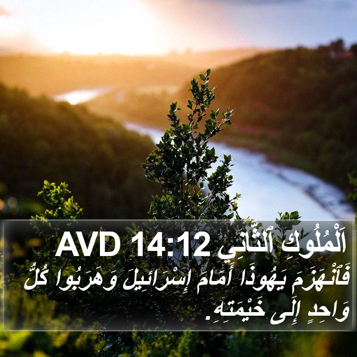 اَلْمُلُوكِ ٱلثَّانِي 14:12 AVD Bible Study