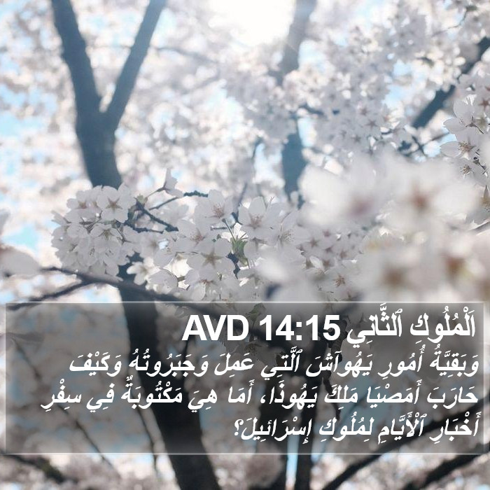 اَلْمُلُوكِ ٱلثَّانِي 14:15 AVD Bible Study