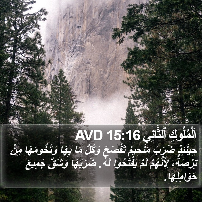 اَلْمُلُوكِ ٱلثَّانِي 15:16 AVD Bible Study