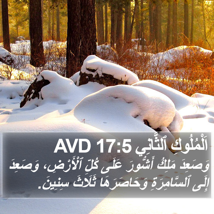 اَلْمُلُوكِ ٱلثَّانِي 17:5 AVD Bible Study